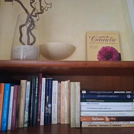 The Camelia, Our With View, Private Bathroom And Dedicated Parking At The Isabella Guest house 3*